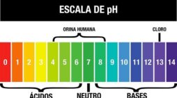¿Que es el PH?